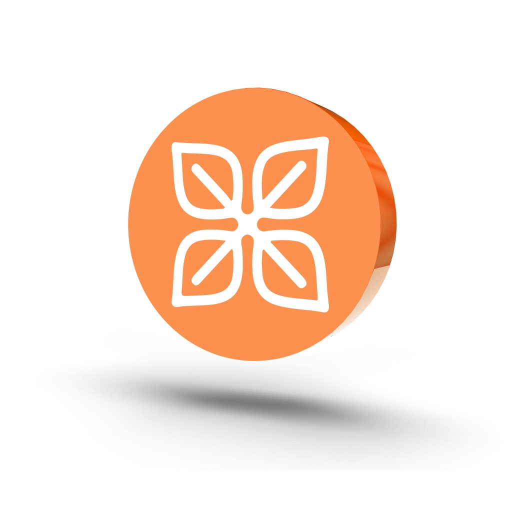 Credit life protection